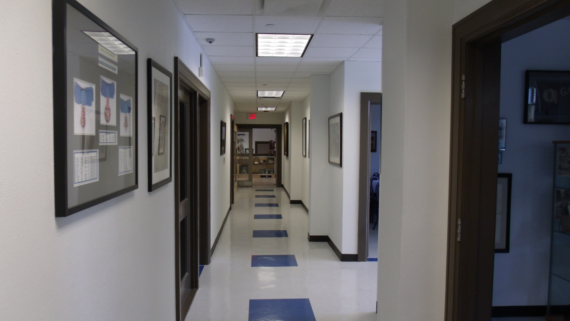 Completed hallway with blue floor accents
